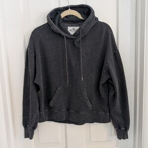 Hollister Women's Pullover Hoodie Sweatshirt MEDIUM Seagull Outdoor Gorpcore‎